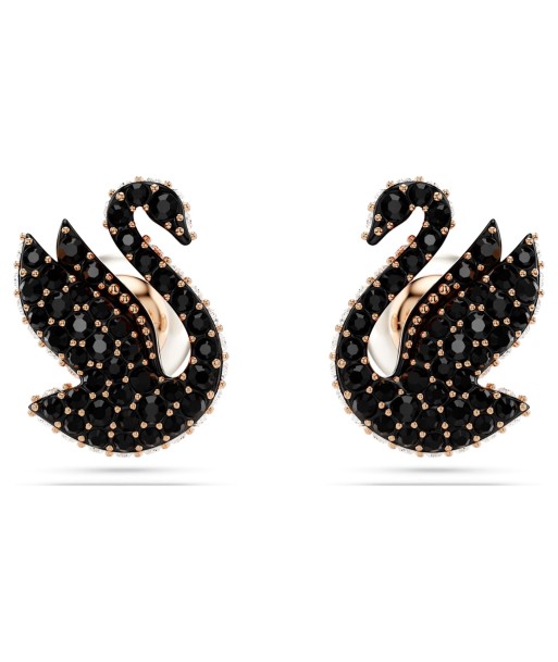 Swan - Noir Rosé - Clous d'Oreilles - Swarovski la colonne vertébrale