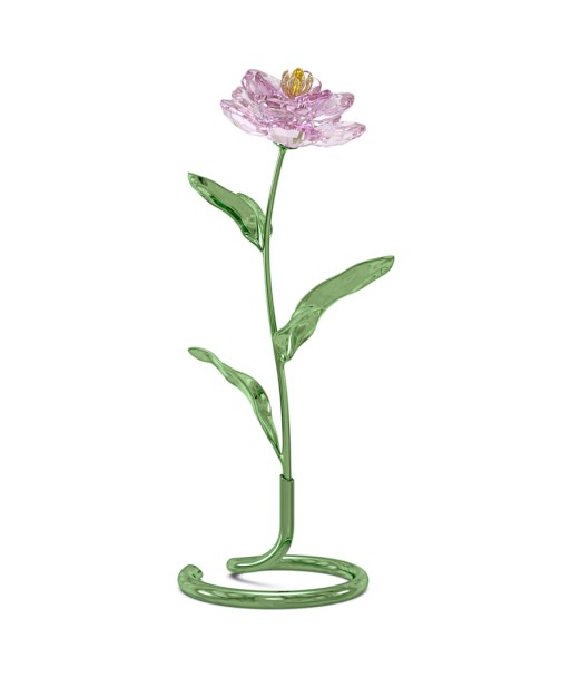 Florere - Pivoine - Figurine - Swarovski la livraison gratuite