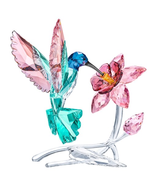 Colibri - Figurine - Swarovski Venez découvrir notre 