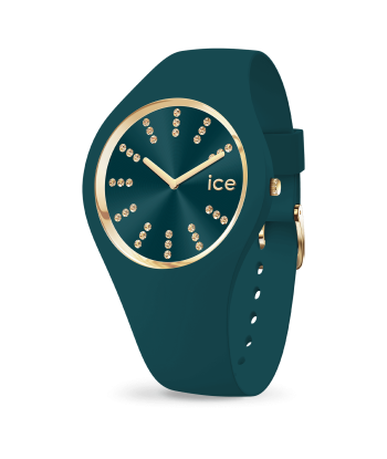 ICE Cosmos - Verdigris - Montre Ice Watch acheter