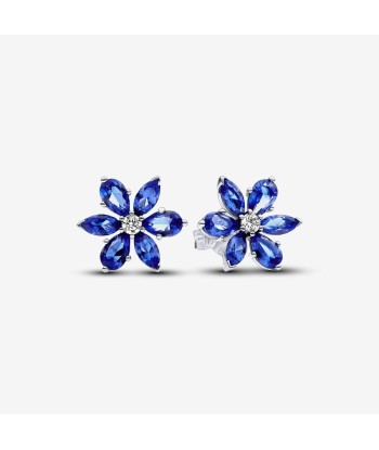 Herbier Scintillant - Bleu & Argent - Boucles d'oreilles Pandora meilleur choix