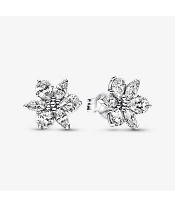 Herbier Scintillant - Blanc & Argent - Boucles d'oreilles Pandora de l' environnement