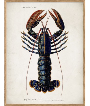 Affiche Homard sur le site 